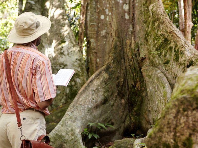 Venha viver o mais completo passeio na Amazônia